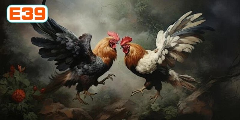 Luật riêng khi hội viên tham gia loại hình này Luật riêng khi hội viên tham gia loại hình này